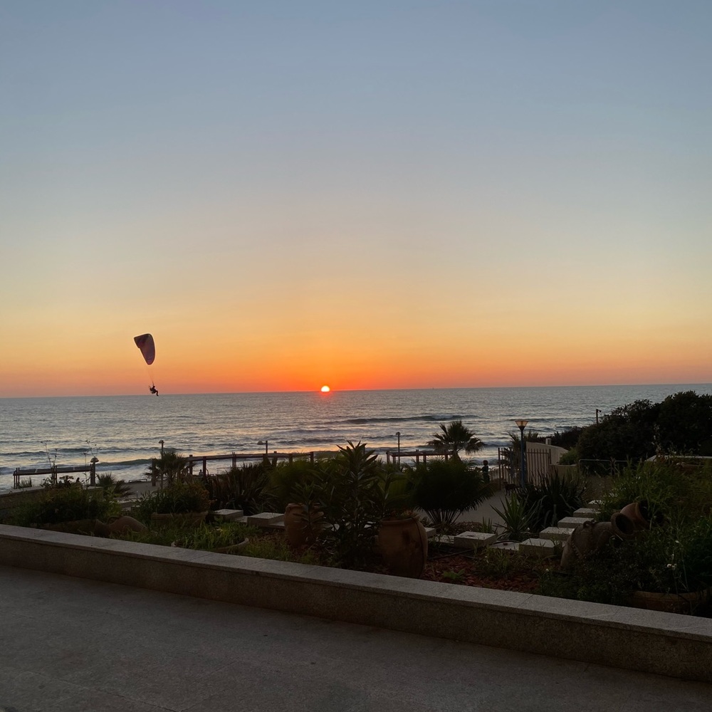 Meet your Posher, Sapir